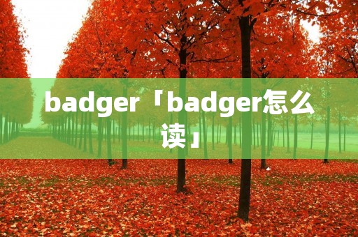 badger「badger怎么读」 badger「badger怎么读」