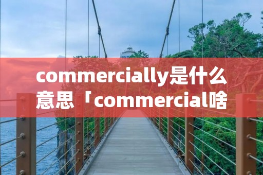 commercially是什么意思「commercial啥意思」