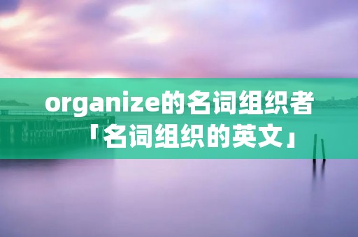 organize的名词组织者「名词组织的英文」