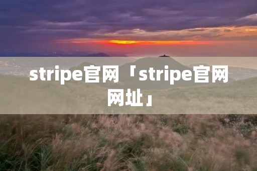 stripe官网「stripe官网网址」