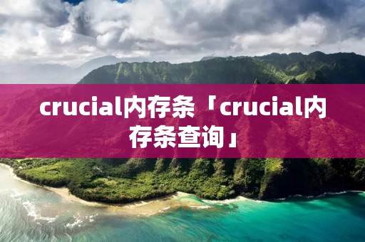crucial内存条「crucial内存条查询」