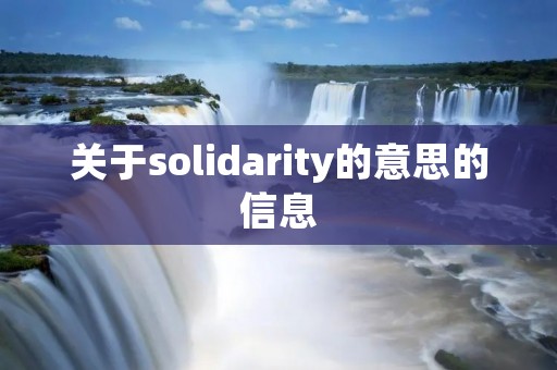 关于solidarity的意思的信息 关于solidarity的意思的信息