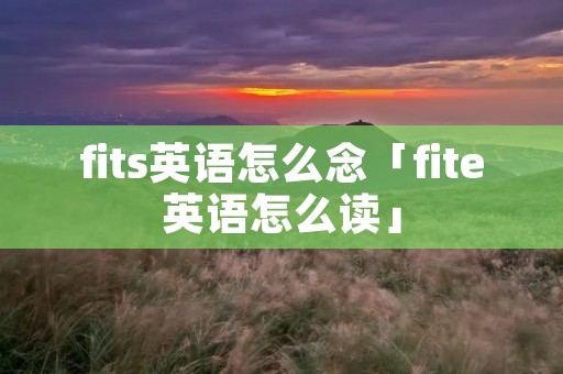 fits英语怎么念「fite英语怎么读」
