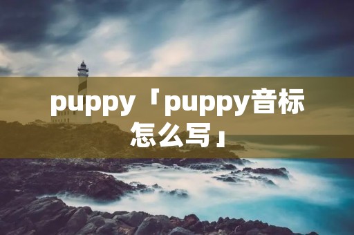 puppy「puppy音标怎么写」