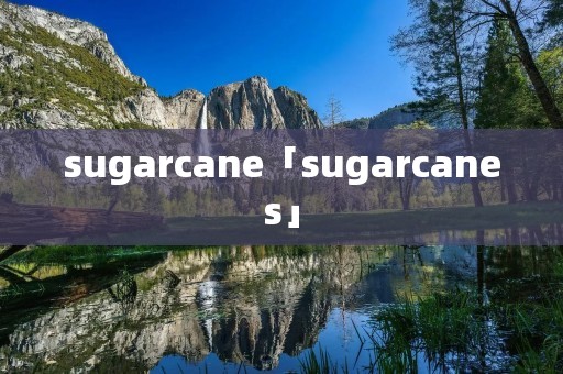 sugarcane「sugarcanes」