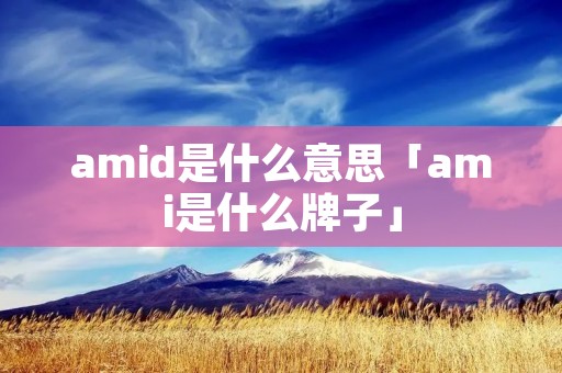 amid是什么意思「ami是什么牌子」 amid是什么意思「ami是什么牌子」