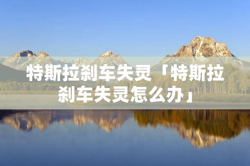 特斯拉刹车失灵「特斯拉刹车失灵怎么办」