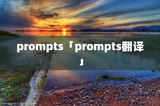 prompts「prompts翻译」