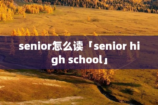 senior怎么读「senior high school」