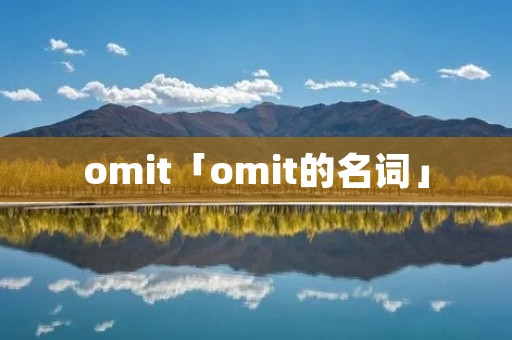 omit「omit的名词」