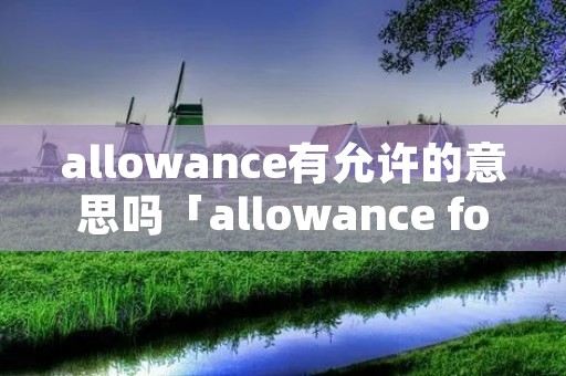 allowance有允许的意思吗「allowance for」