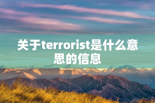 关于terrorist是什么意思的信息