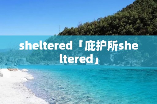 sheltered「庇护所sheltered」 sheltered「庇护所sheltered」