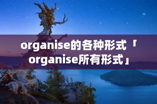 organise的各种形式「organise所有形式」