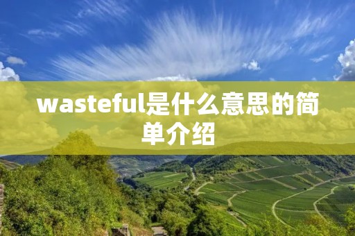 wasteful是什么意思的简单介绍