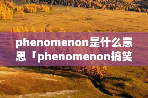 phenomenon是什么意思「phenomenon搞笑记忆」
