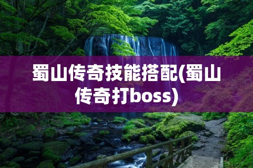 蜀山传奇技能搭配(蜀山传奇打boss)