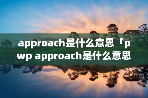 approach是什么意思「pwp approach是什么意思」
