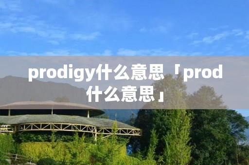 prodigy什么意思「prod什么意思」