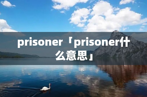 prisoner「prisoner什么意思」
