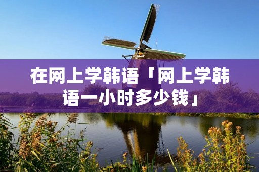 在网上学韩语「网上学韩语一小时多少钱」