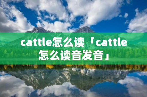 cattle怎么读「cattle怎么读音发音」 cattle怎么读「cattle怎么读音发音」