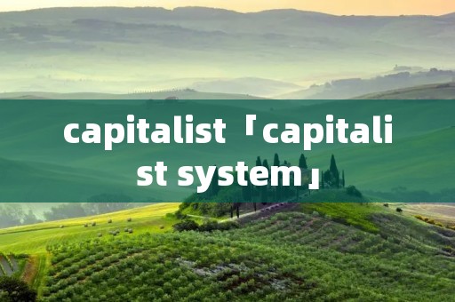 capitalist「capitalist system」