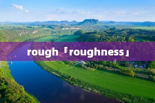 rough「roughness」