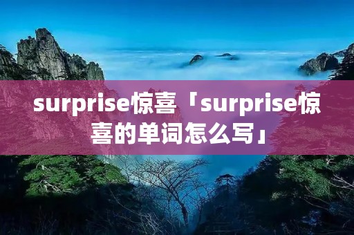 surprise惊喜「surprise惊喜的单词怎么写」
