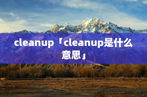 cleanup「cleanup是什么意思」