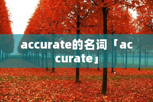 accurate的名词「accurate」