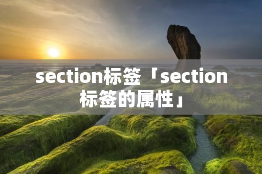 section标签「section标签的属性」 section标签「section标签的属性」