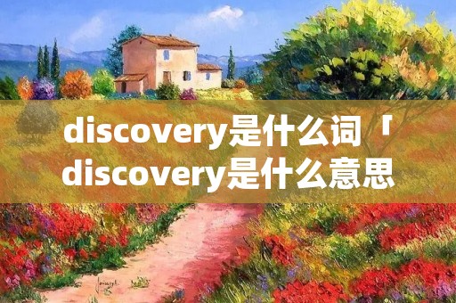 discovery是什么词「discovery是什么意思啊英语」