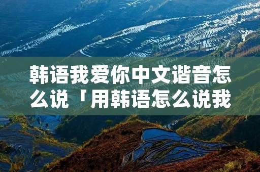 韩语我爱你中文谐音怎么说「用韩语怎么说我爱你谐音」 韩语我爱你中文谐音怎么说「用韩语怎么说我爱你谐音」