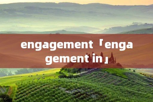 engagement「engagement in」