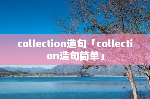 collection造句「collection造句简单」