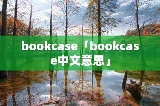 bookcase「bookcase中文意思」 bookcase「bookcase中文意思」