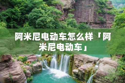 阿米尼电动车怎么样「阿米尼电动车」