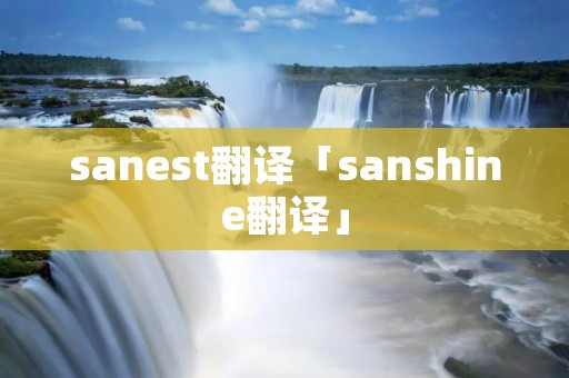 sanest翻译「sanshine翻译」