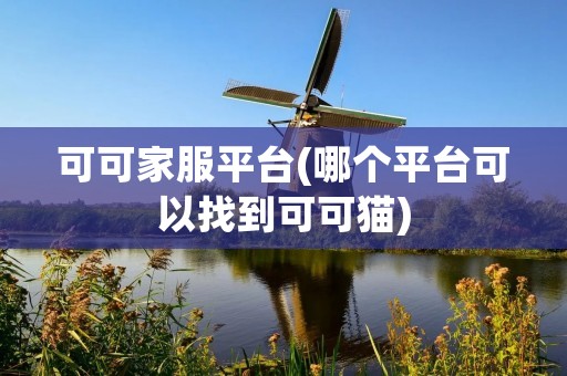 可可家服平台(哪个平台可以找到可可猫)