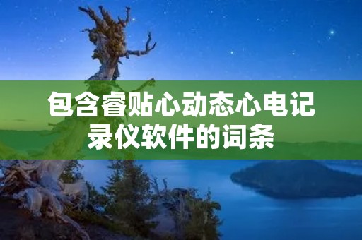 包含睿贴心动态心电记录仪软件的词条