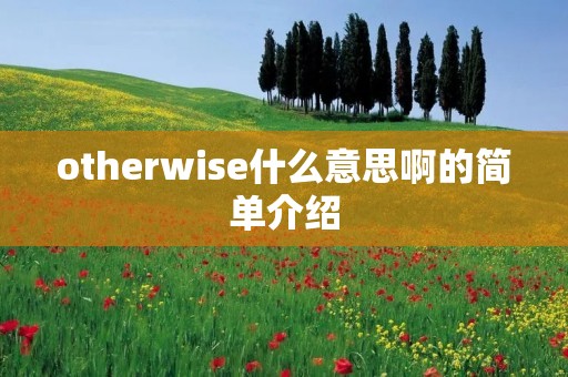 otherwise什么意思啊的简单介绍