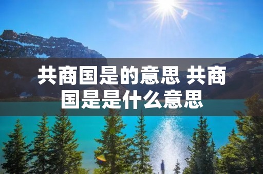 共商国是的意思 共商国是是什么意思
