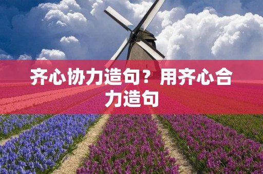 齐心协力造句?用齐心合力造句