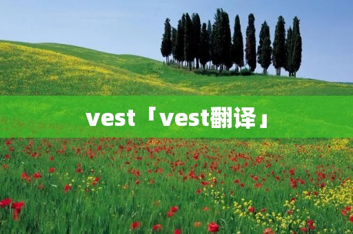 vest「vest翻译」