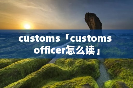 customs「customs officer怎么读」 customs「customs officer怎么读」