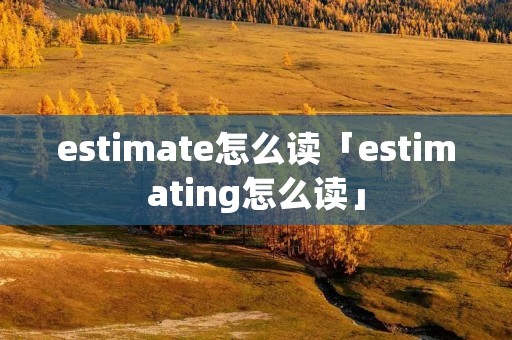 estimate怎么读「estimating怎么读」