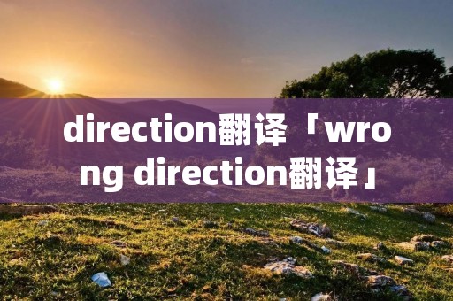 direction翻译「wrong direction翻译」