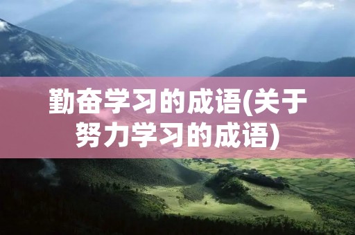 勤奋学习的成语(关于努力学习的成语)