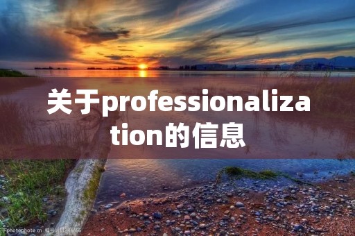 关于professionalization的信息